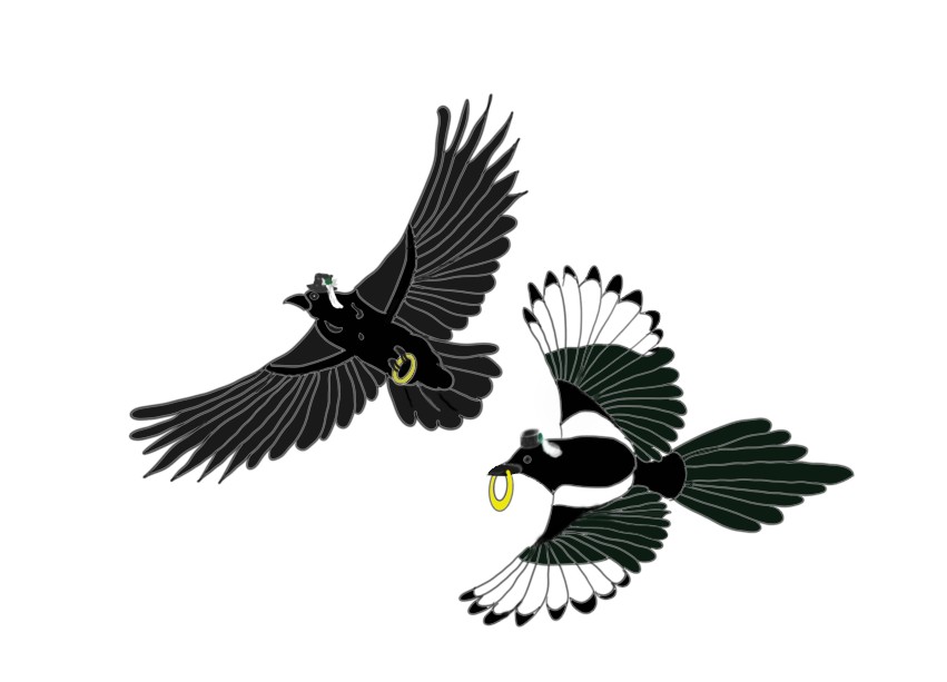Ptači kwas swjećili // Vogelhochzeit